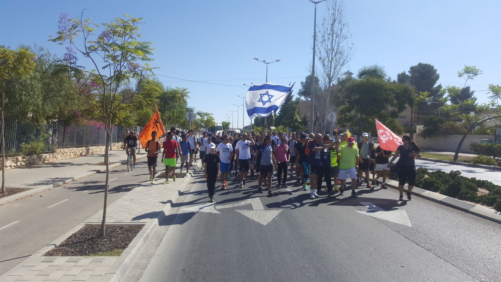 גלרייה - מרוץ הלפיד, 37 מתוך 73